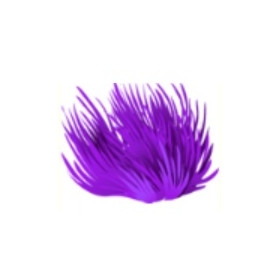 Purple Maidens Hair